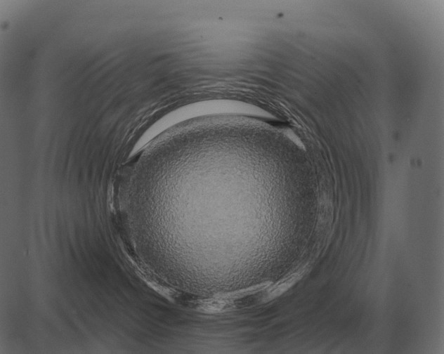 X0000084580096200703091848