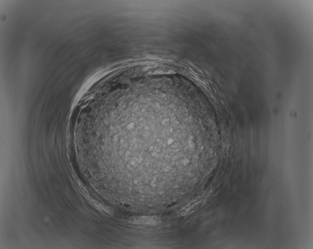 X0000084580102200703091847