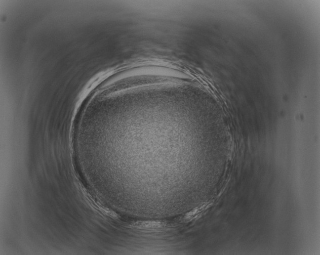 X0000084580104200703091847