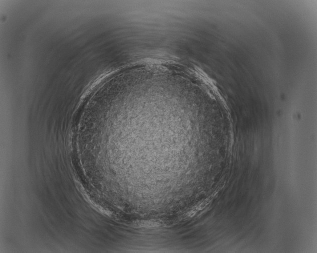 X0000084580106200703091847