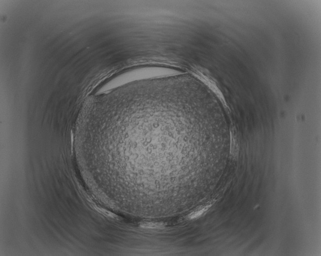 X0000084580109200703091847