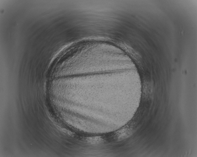 X0000084580112200703091847