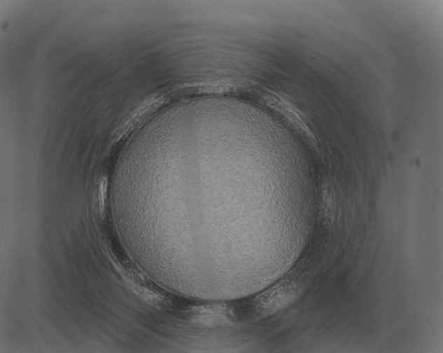 X0000084580118200703091847