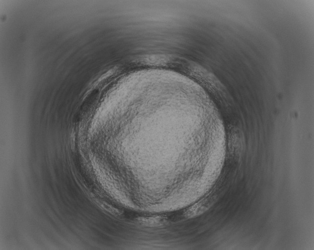 X0000084580120200703091847