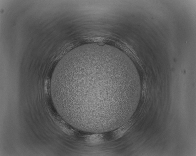X0000084580122200703091847