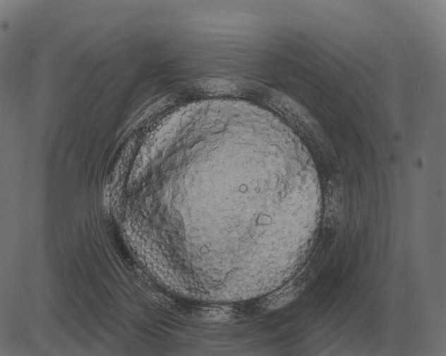 X0000084580124200703091847