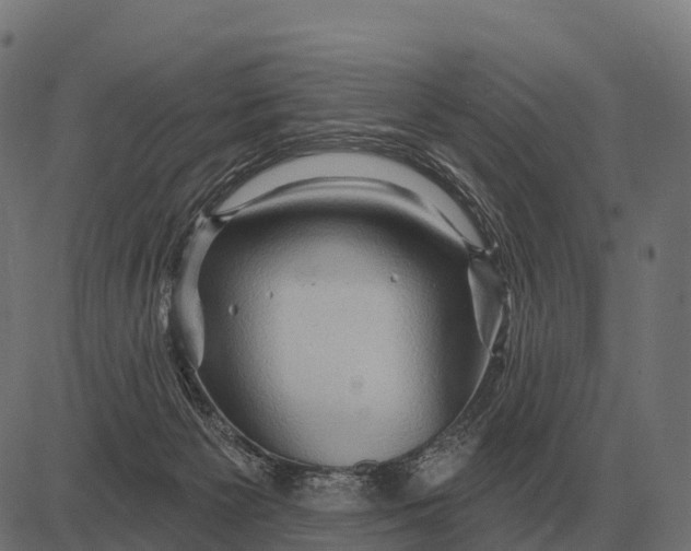 X0000084580125200703091847