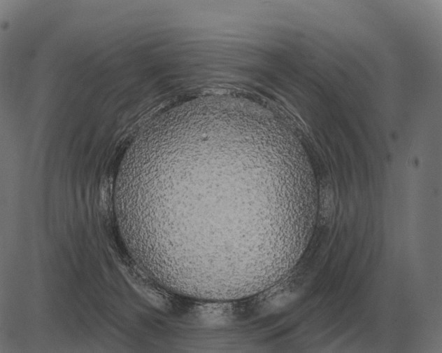 X0000084580126200703091847