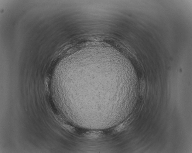 X0000084580128200703091847