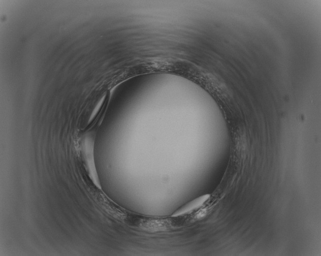 X0000084580129200703091847