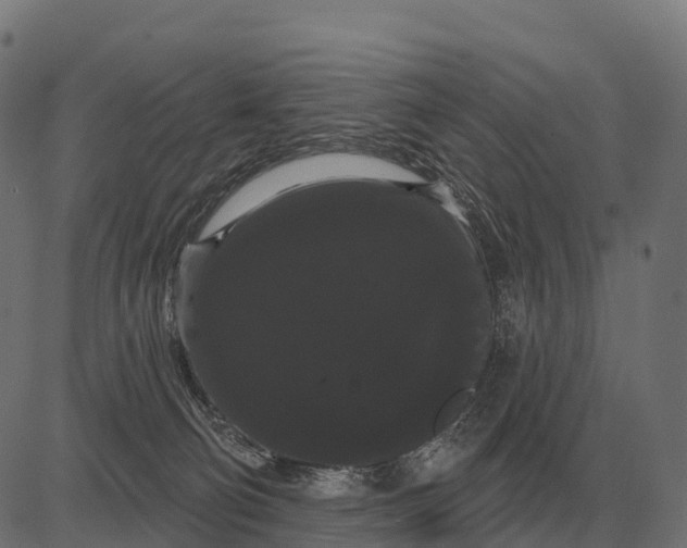 X0000084580130200703091846