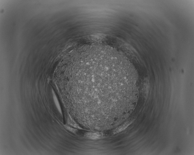 X0000084580131200703091846