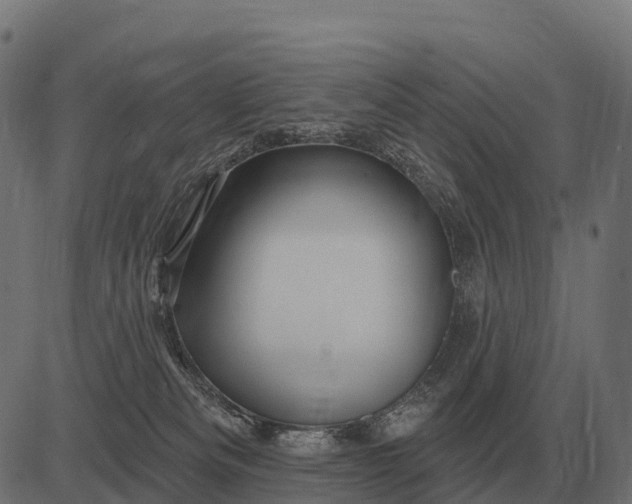 X0000084580133200703091846