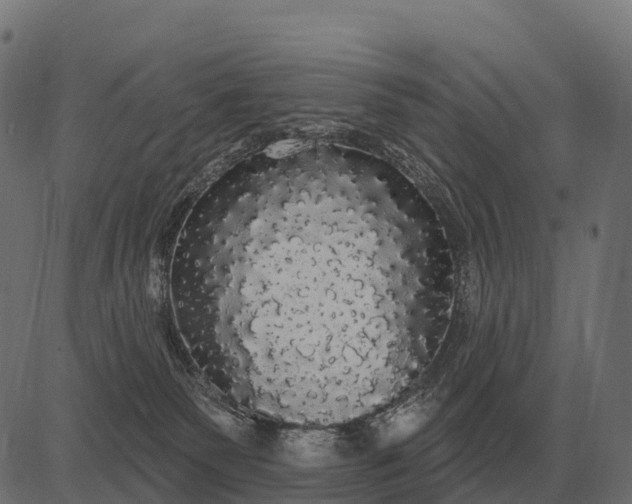 X0000084580135200703091846