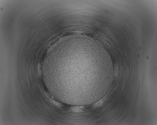 X0000084580136200703091846