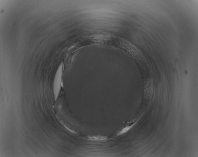 X0000084580137200703091846