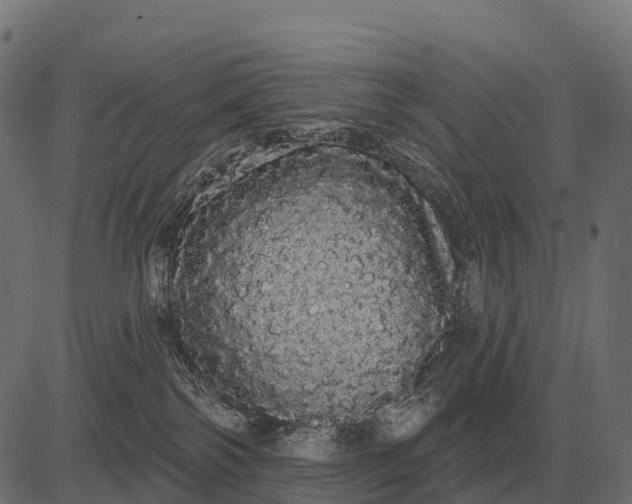 X0000084580138200703091846