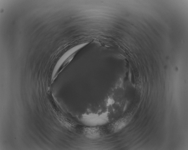 X0000084580139200703091846