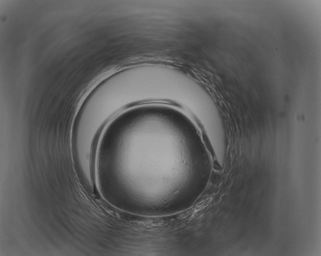 X0000084580148200703091846