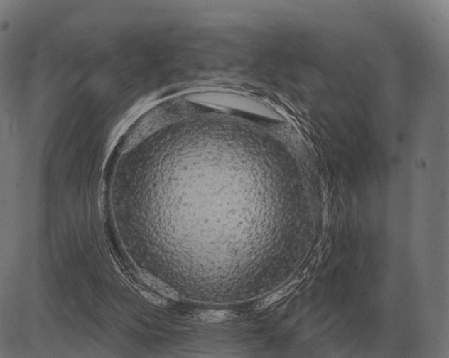 X0000084580152200703091846