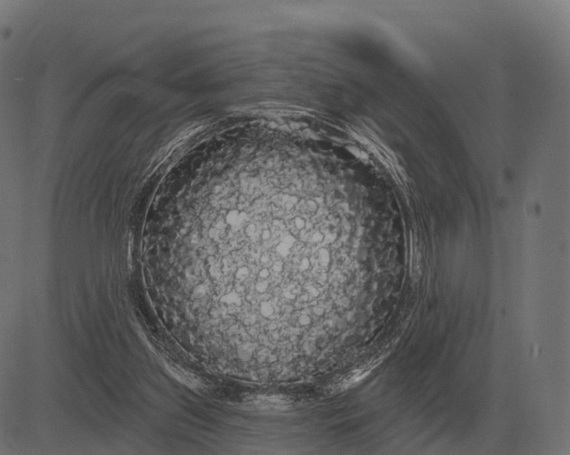 X0000084580157200703091846