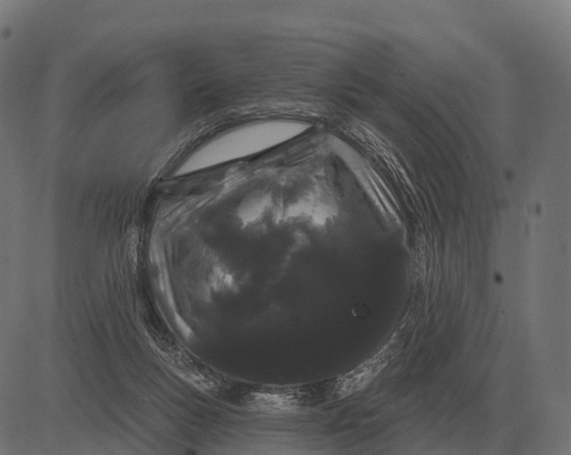 X0000084580167200703091846