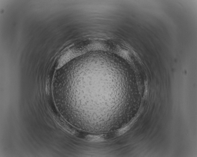 X0000084580170200703091846