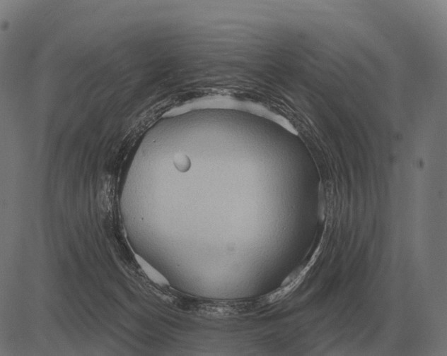 X0000084580174200703091846