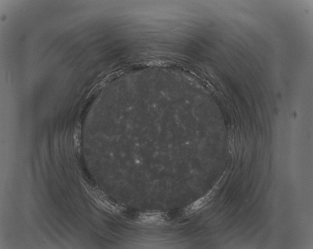 X0000084580175200703091846