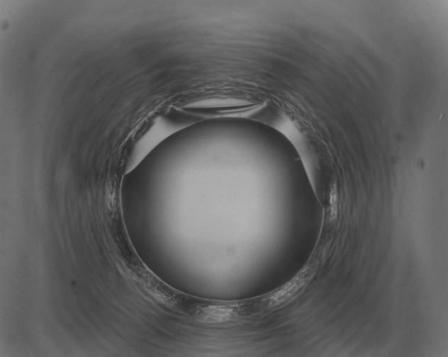X0000084580176200703091846