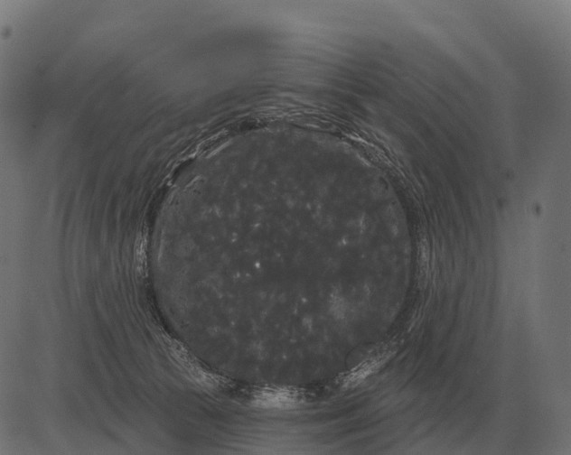 X0000084580177200703091846