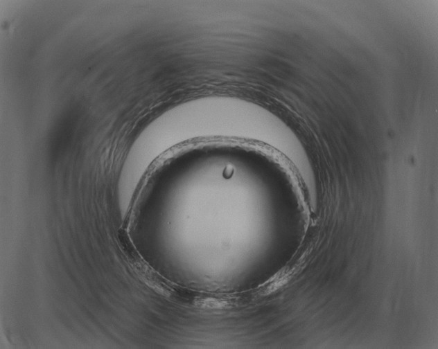 X0000084580180200703091846