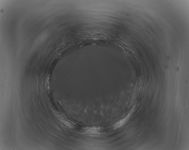 X0000084580182200703091846