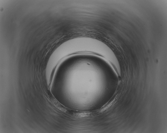 X0000084580184200703091846