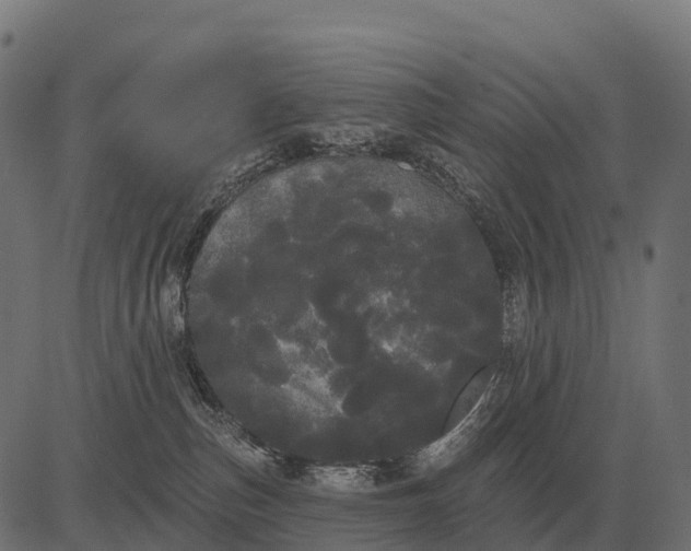 X0000084580187200703091846