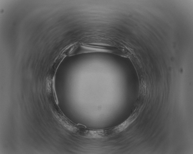 X0000084580188200703091846