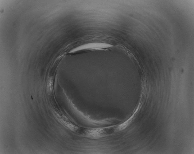 X0000084580191200703091846