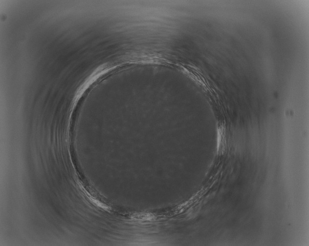 X0000084580195200703091845