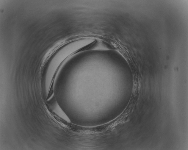 X0000084580197200703091845