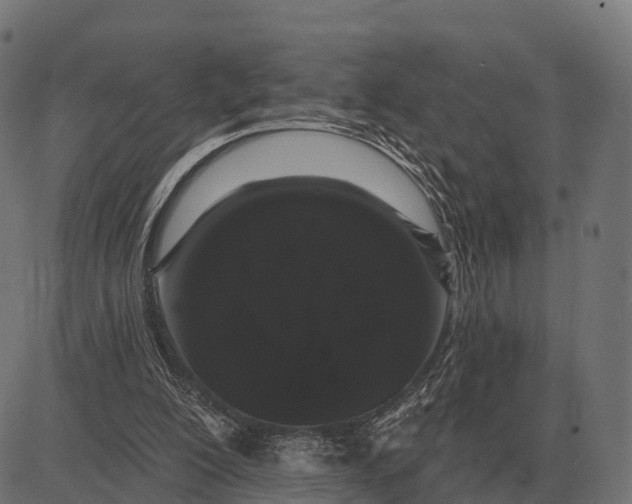X0000084580200200703091845