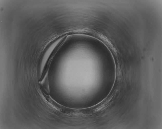 X0000084580201200703091845