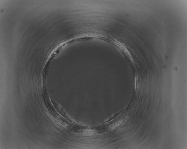X0000084580204200703091845