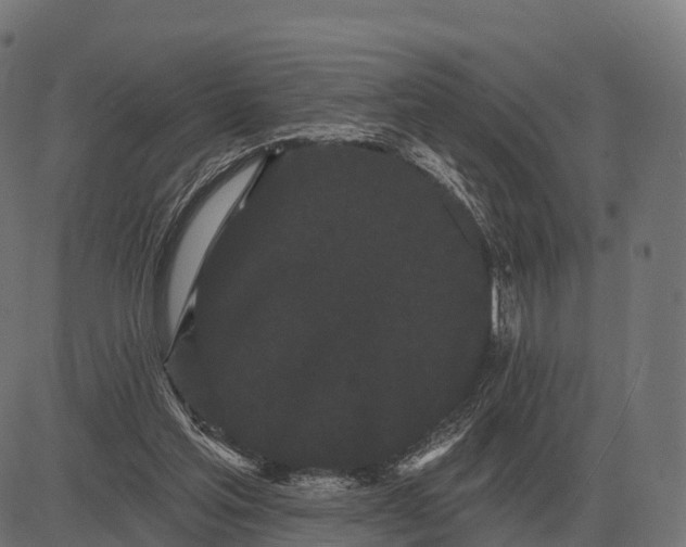 X0000084580205200703091845