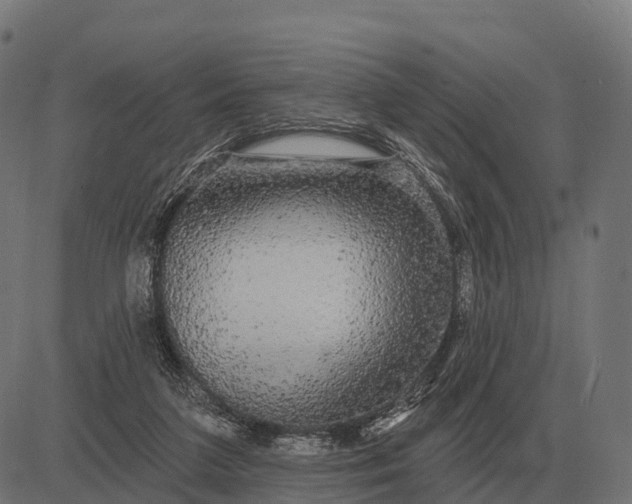 X0000084580211200703091845