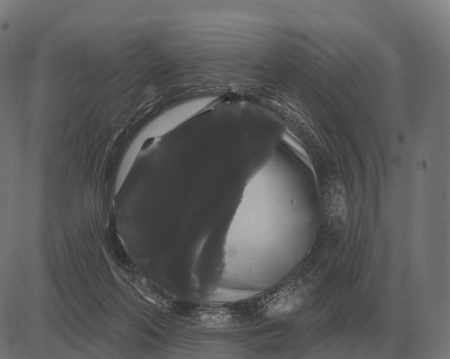 X0000084580214200703091845