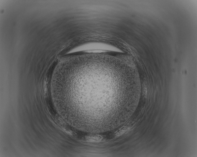 X0000084580215200703091845