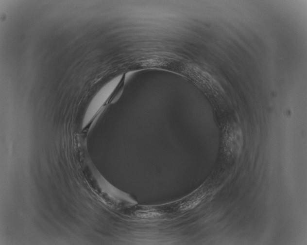 X0000084580219200703091845
