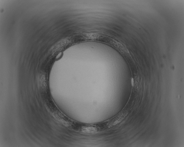 X0000084580220200703091845