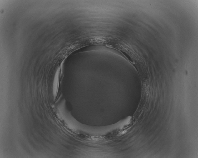 X0000084580223200703091845