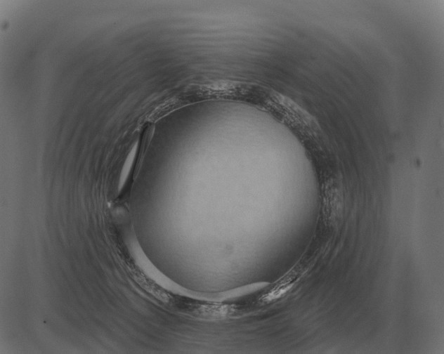 X0000084580225200703091845